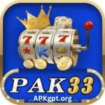 Pak 33 game