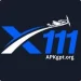 x111