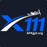 x111