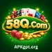 58Q Game